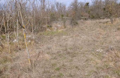 ПРОДАЖА СТРОИТЕЛЬНОГО УЧАСТКА, 6.230 м² – ПЛОВАНИЯ (БУЕ)