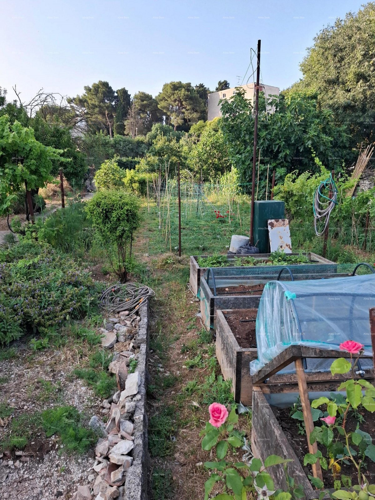 Veruda Spacious three-bedroom apartment with an area of 81 m², Pula 20