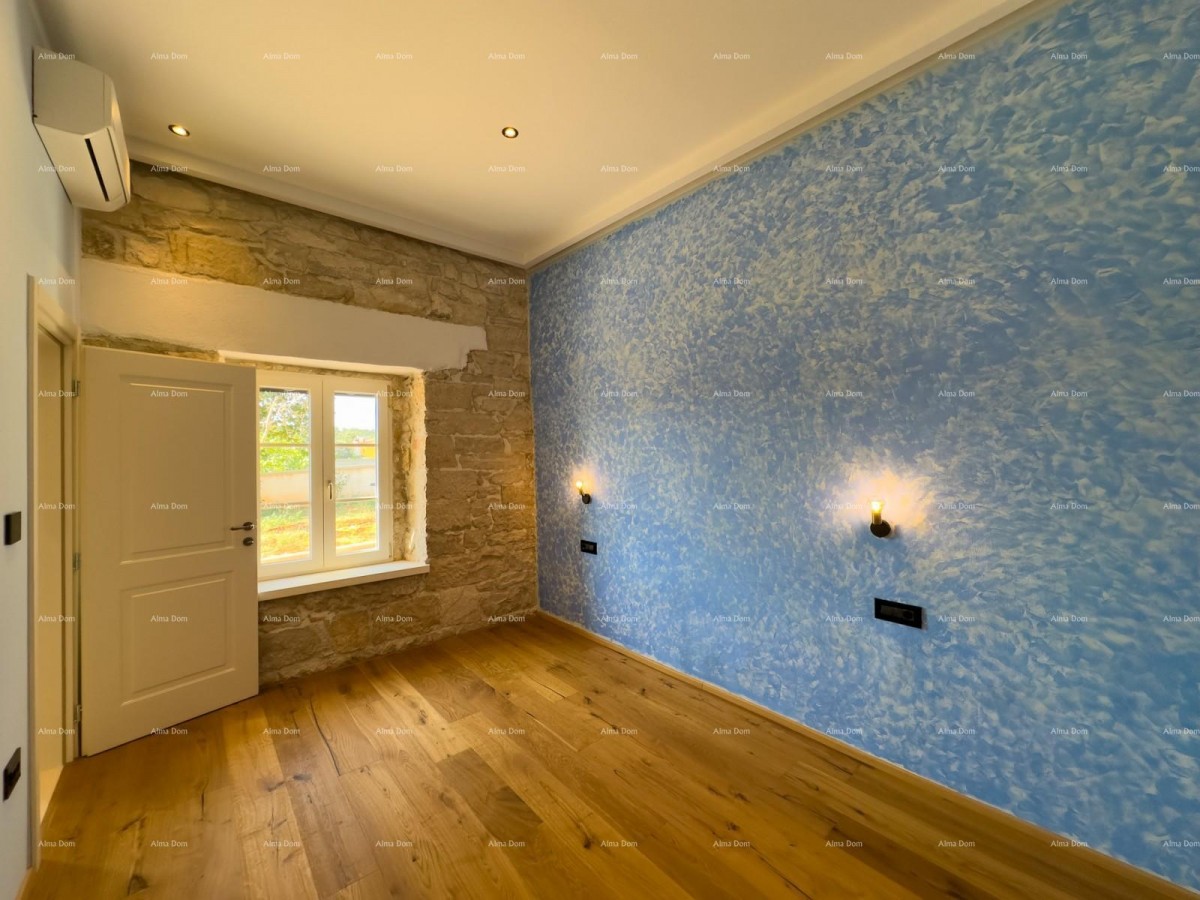 Редкость на рынке!   Istra  Barban 11