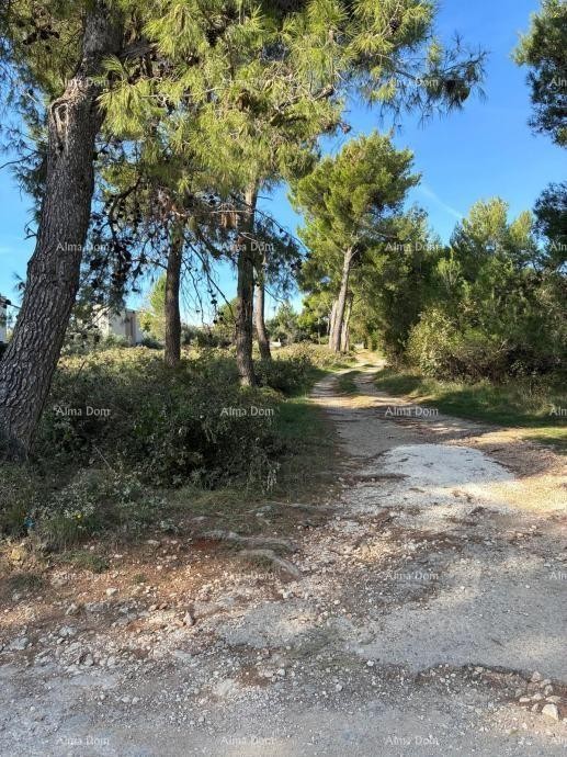 Medulin – terreni agricoli al confine della zona edificabile 1