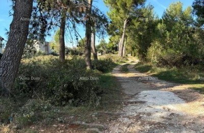 Medulin – terreni agricoli al confine della zona edificabile