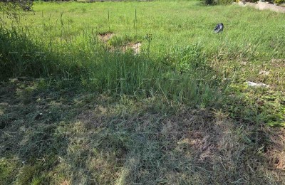 Terreno edificabile 1.412 m², Šegotići