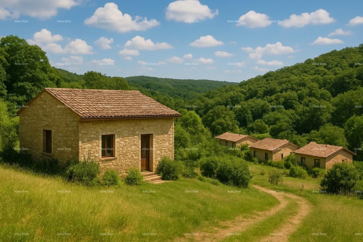 Prodaja - veliko imanje/stanica v osrednji Istri, Pazin! Investicijska priložnost! 10