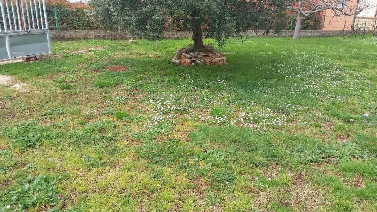 Эемля Vodnjan 3