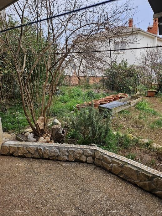 PRODAJA DVA STANA V PRIZIDJU HIŠE Z VRTOM 10