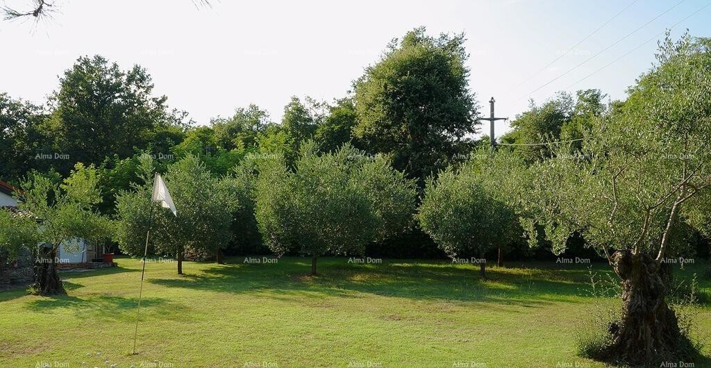 UMAG, House, 144 m², with a large garden and summer kitchen, completely renovated! 18