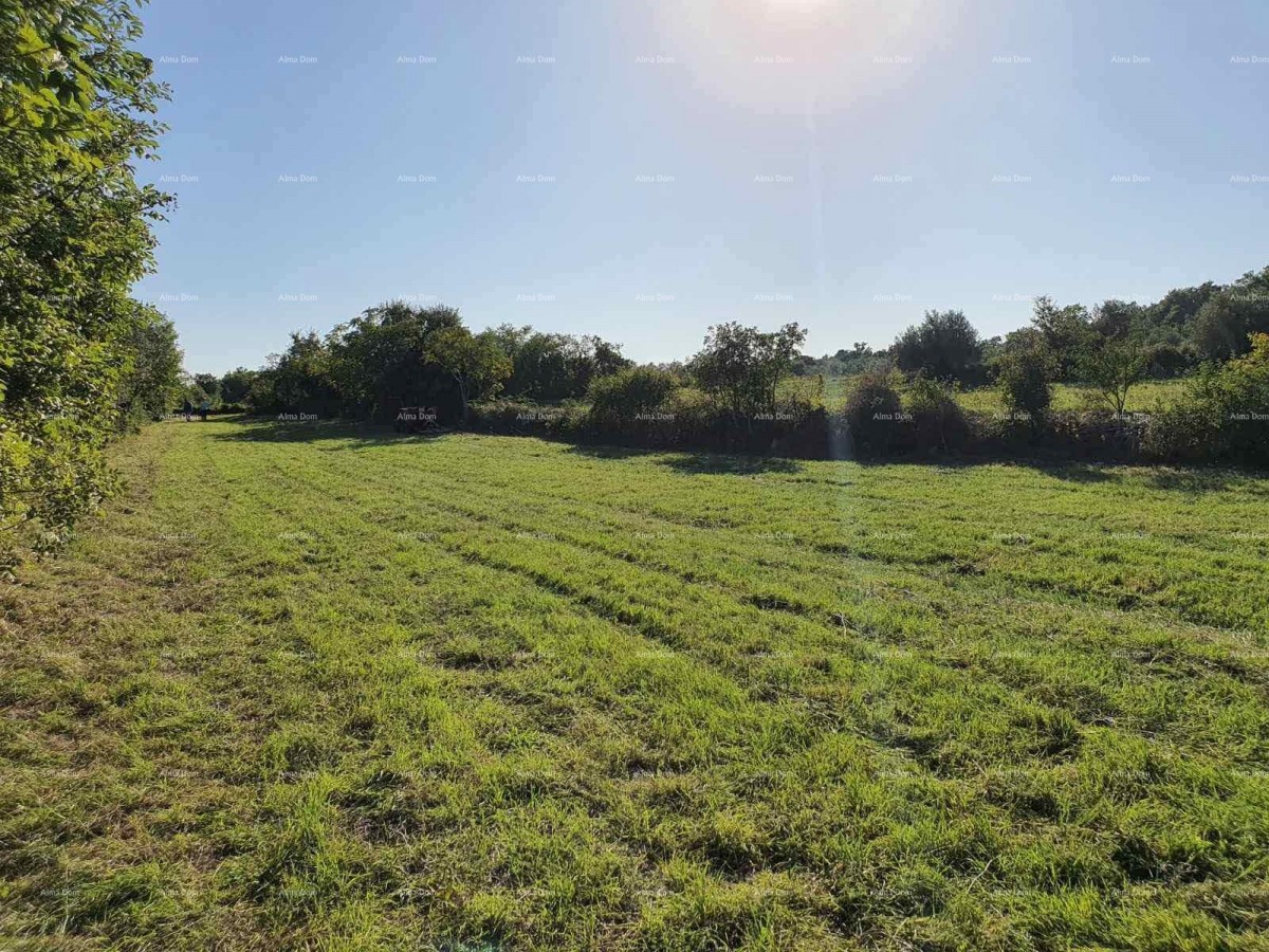 Эемля Marčana 3