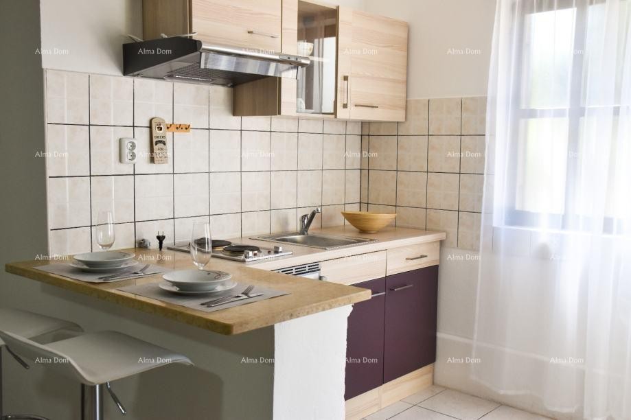 Spacious apartment in Poreč 10