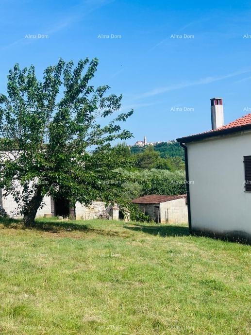 Буе – Самостоятельный дом с оливковым садом и строительным участком 6