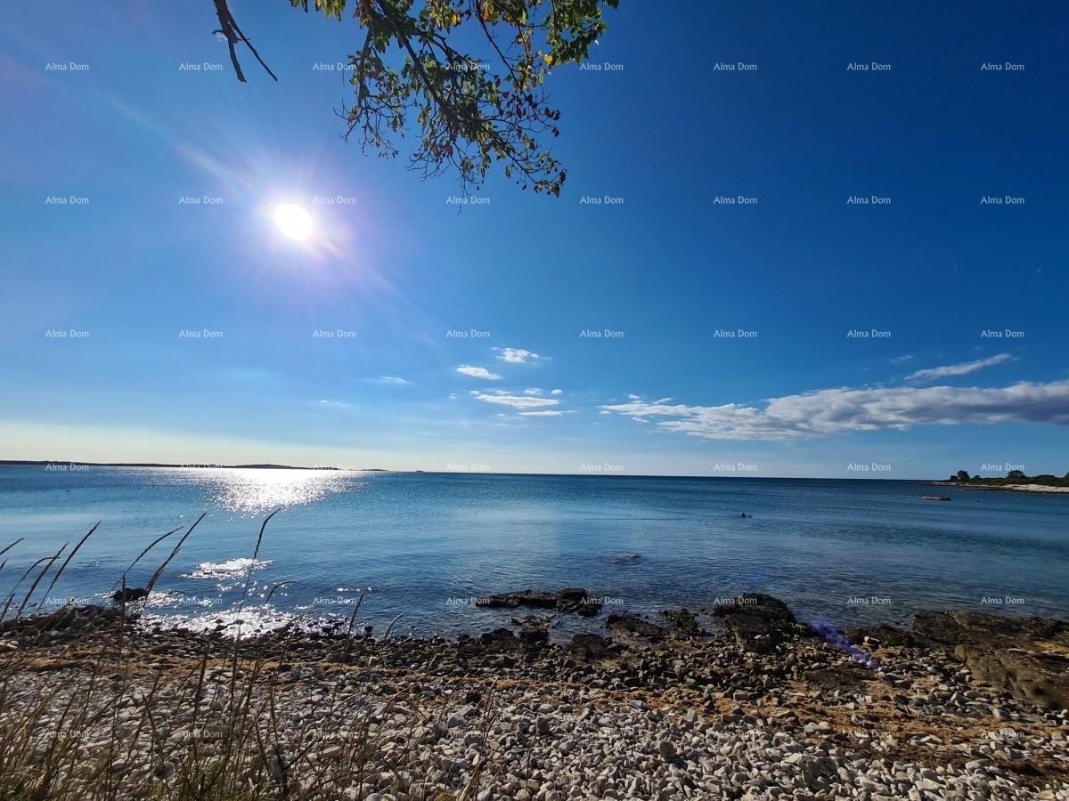 Эемля Fažana 3