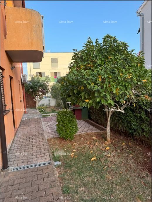 In vendita: Appartamento a Novigrad con grande giardino. 4
