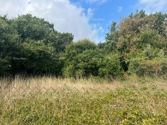 Prodaja građevinskog zemljišta, Ližnjan 1