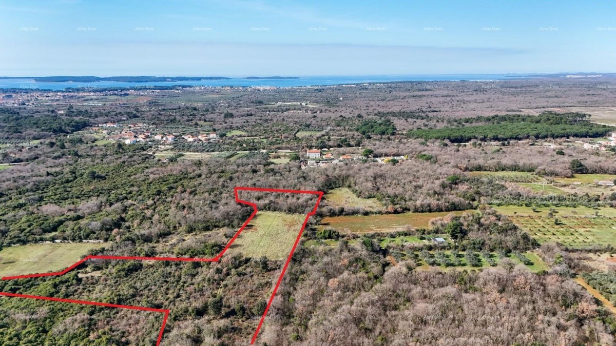 GALIŽANA - Prodaje se veliko poljoprivredno zemljište – 20.498 m², odlična lokacija 7