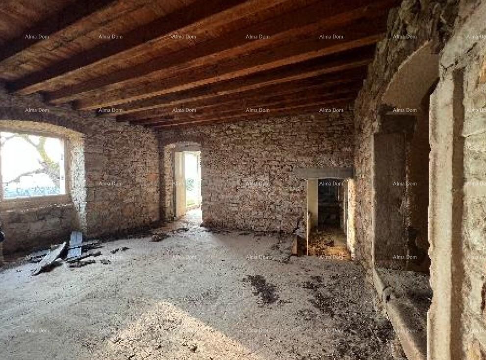 Blizina Pule – interessante proprietà con grande potenziale 5