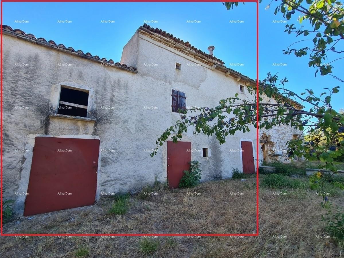 Станция под Водняном! Большой участок 6390 м²!! 22