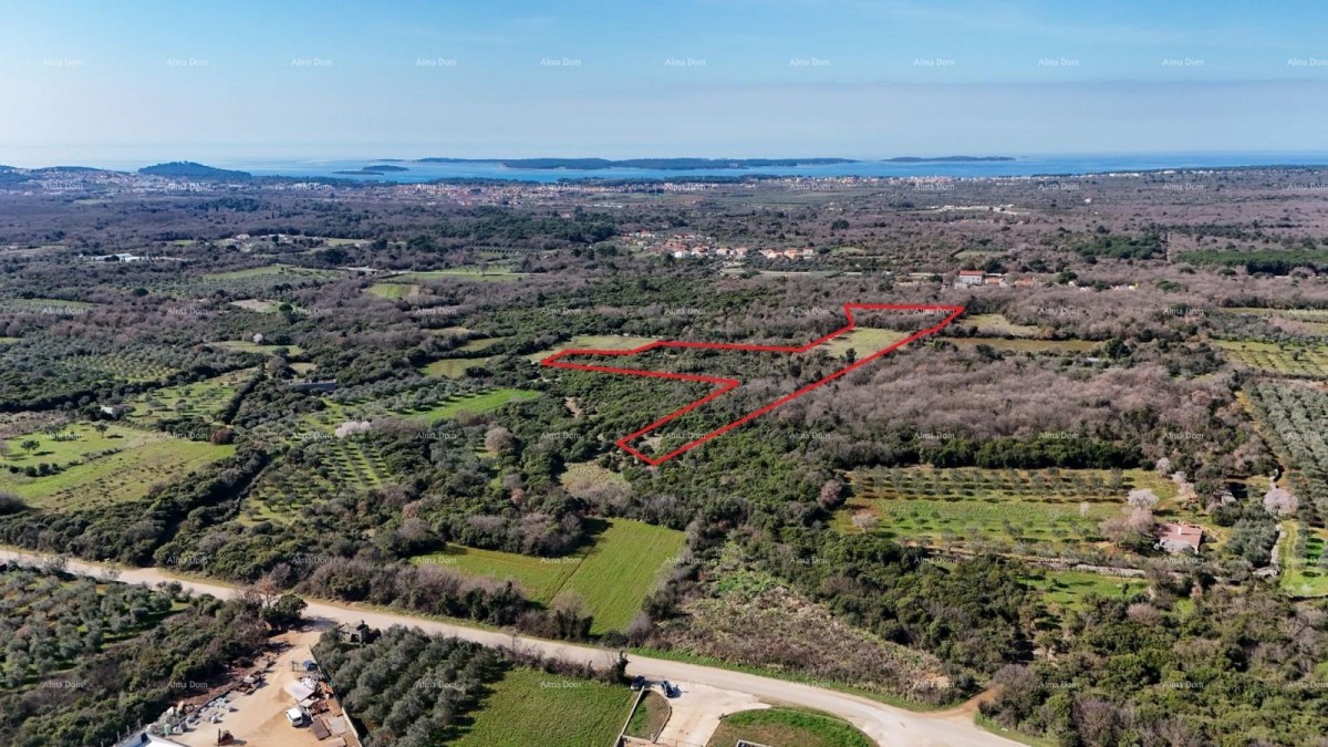 GALIŽANA - Prodaje se veliko poljoprivredno zemljište – 20.498 m², odlična lokacija 3