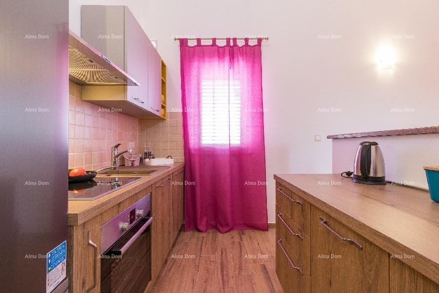 House with pool and jacuzzi! 16