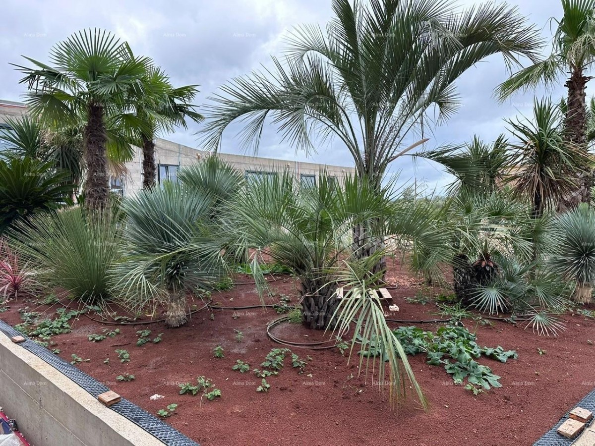 Appartamenti in vendita in un nuovo progetto commerciale e residenziale, Parenzo, J02-edificio J 11