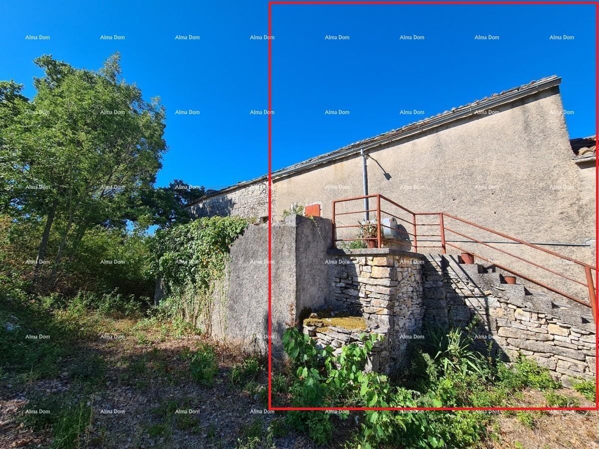 Станция под Водняном! Большой участок 6390 м²!! 21