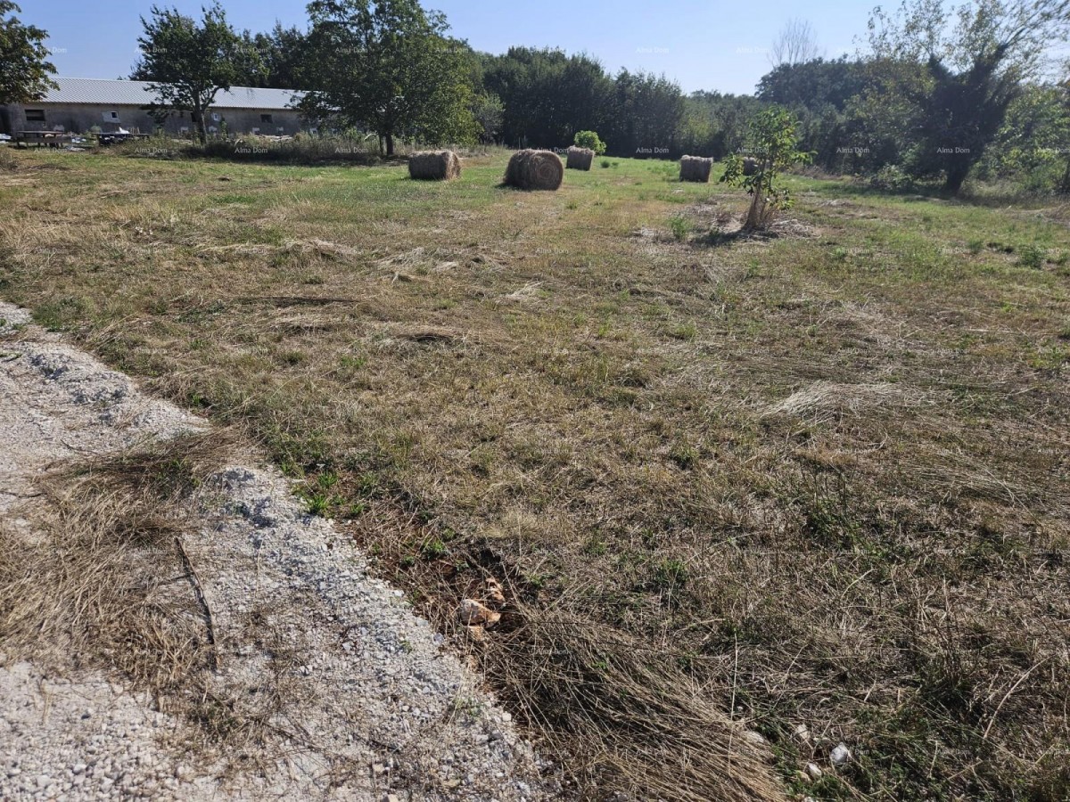 Prodaja građevinskog zemljišta, Žminj 6