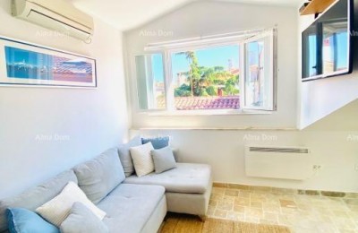 Новиград, квартира 47 м2