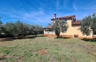 Каменная вилла с двумя дополнительными домами! Galižana!