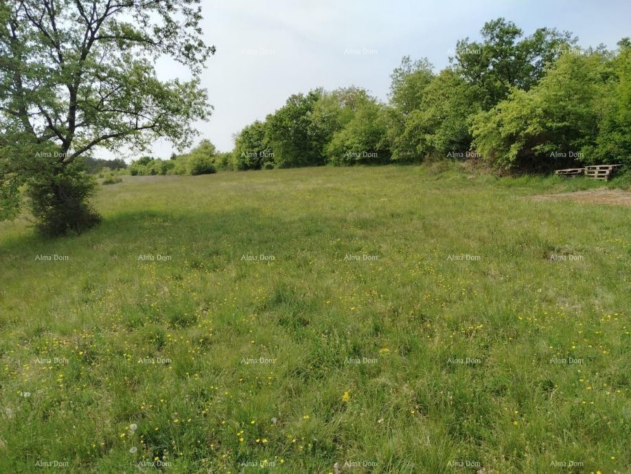 Građevinsko zemljište 3.528 m² ,  u blizini Grožnjana 1
