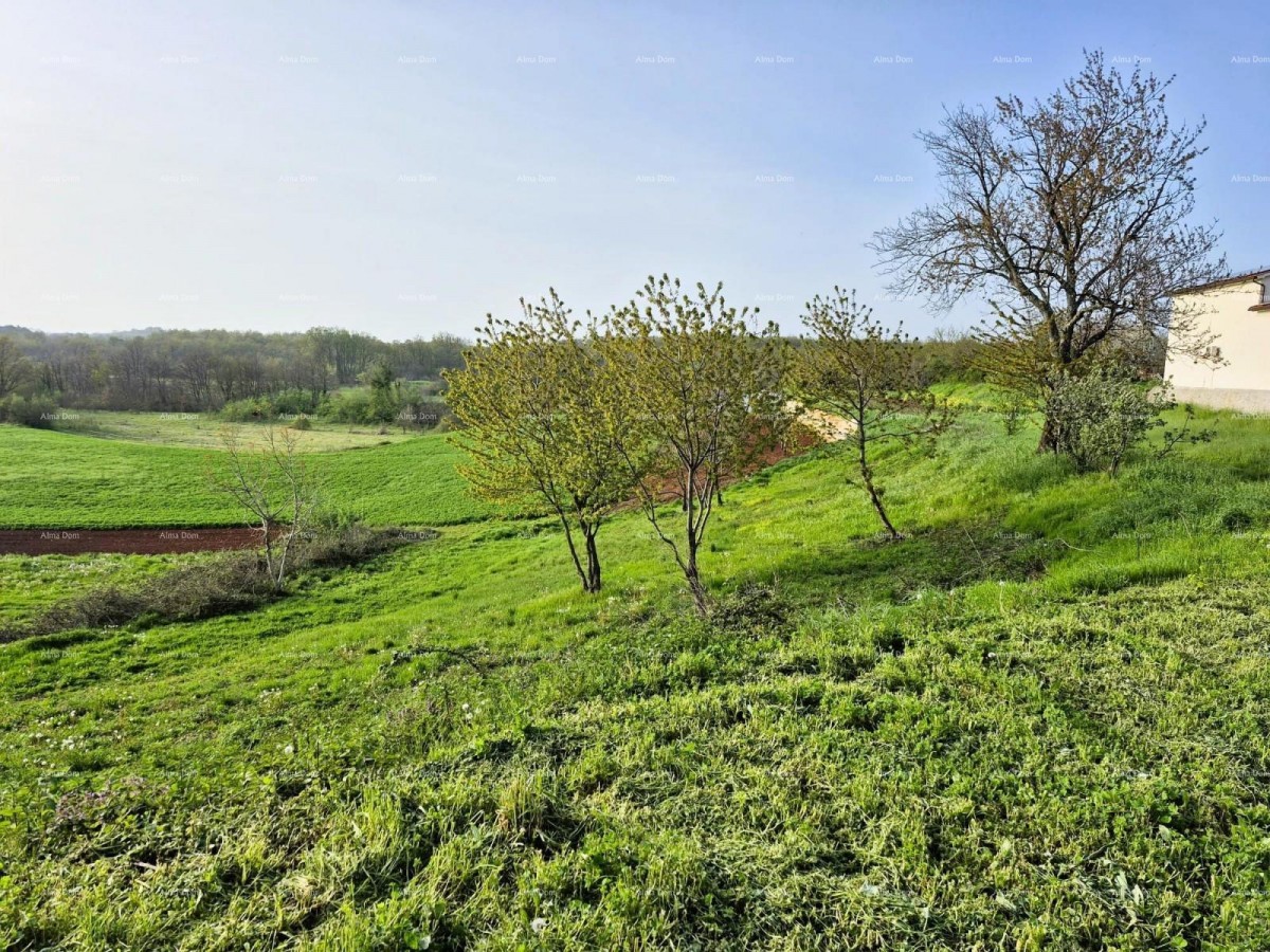 Građevinsko zemljište 1.730 m² –  Barban 4