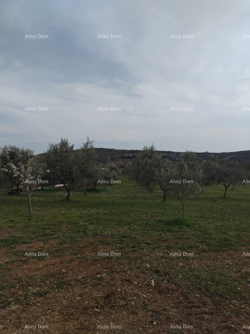 Atraktivno zemljišče, 5.716 m²,  okolica Poreča 1