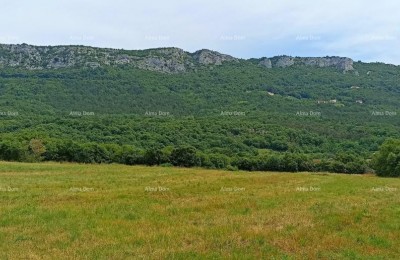 Construction Land 1,650 m² – Buzet, Istria