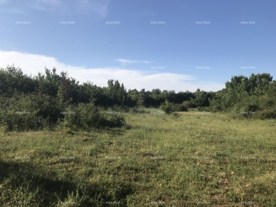 MARČANA, Rakalj - Prodaju se 2 građevinske urbanizirane parcele 1