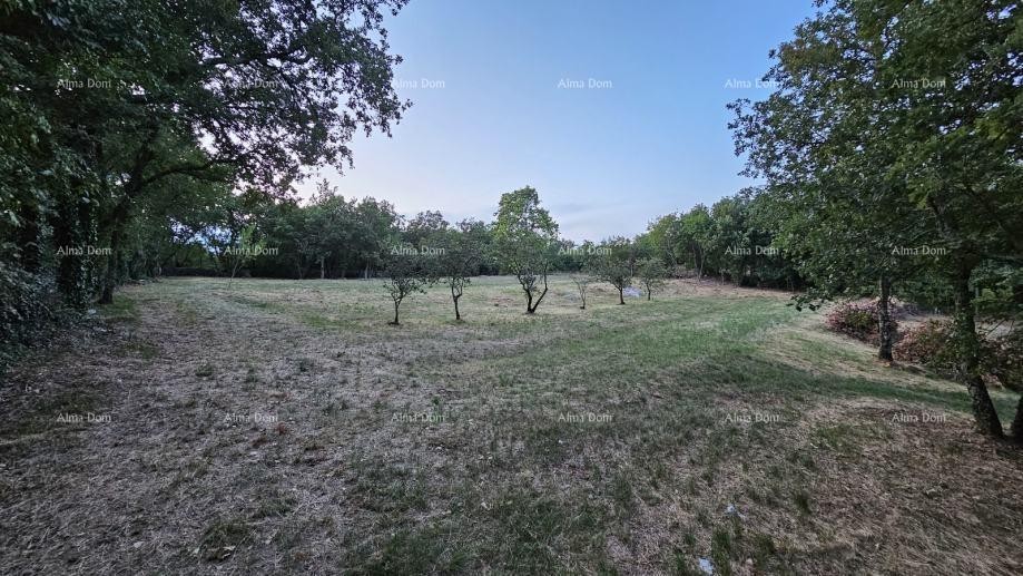 Строительная земля в Тиньяне (Истрия), 3.623 м² 1