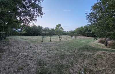 Строительная земля в Тиньяне (Истрия), 3.623 м²