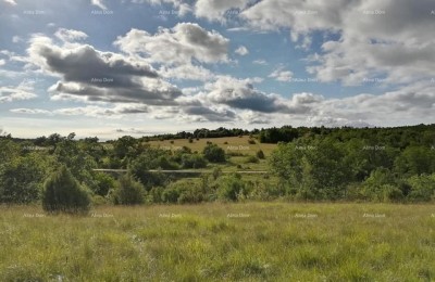 Agricultural land for sale, Oprtalj