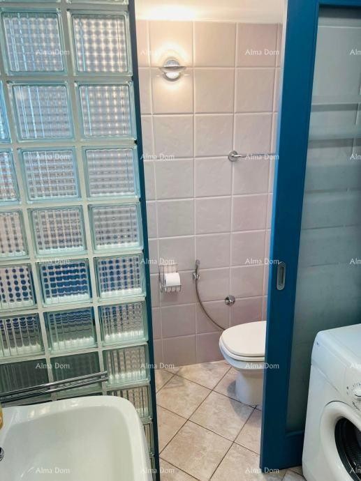 UMAG – FURNISHED APARTMENT 90 m², 30 m FROM THE SEA, WITH GARDEN AND SEA VIEW 12