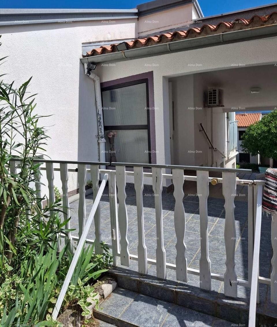 The translation of the title 17