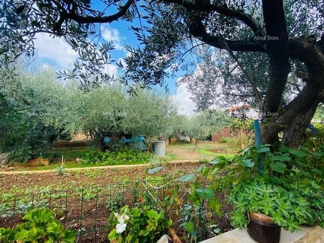 Casa spaziosa a Pola con grande cortile e numerose possibilità 6