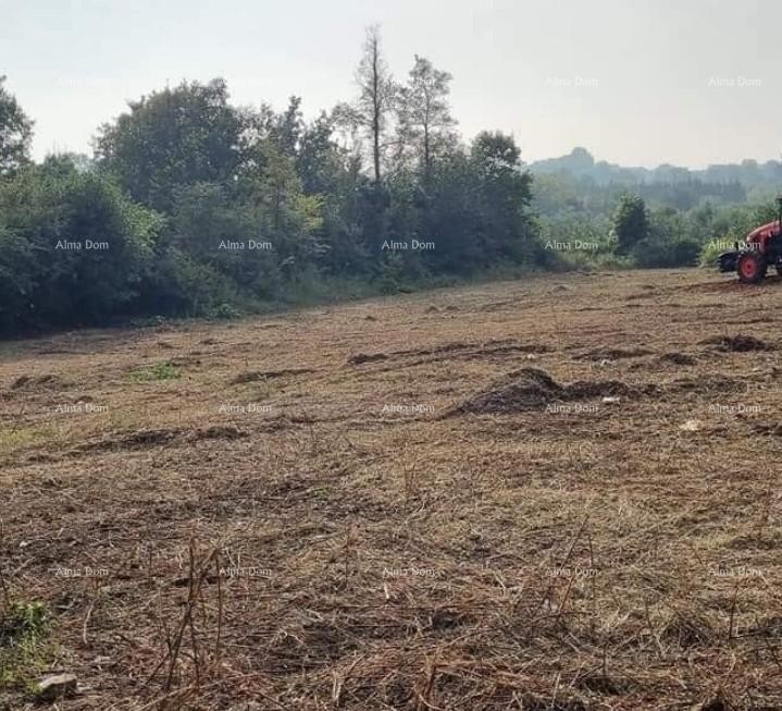 Бртонигла. Земля под застройку. 4