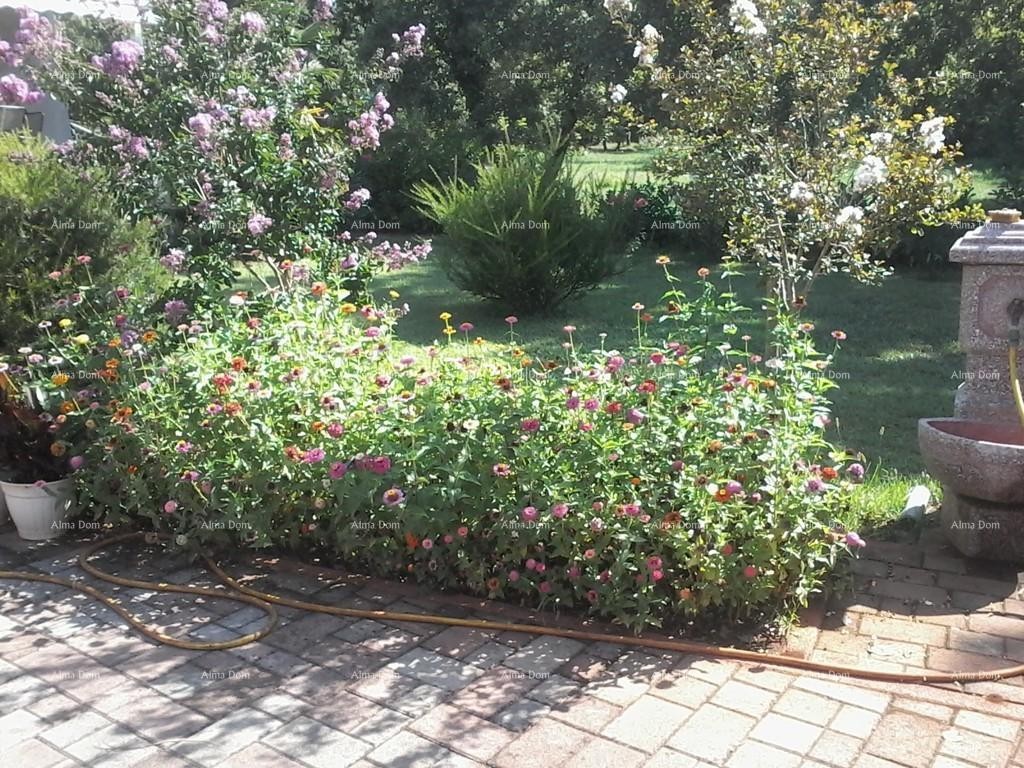 Продается дом, Умаг 10