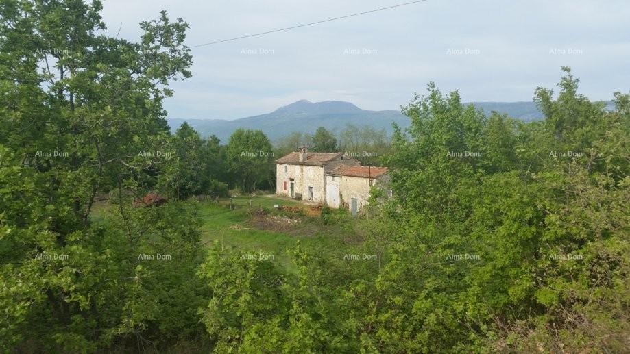 Tenuta istriana con vista sull'Učka a Kršan 6