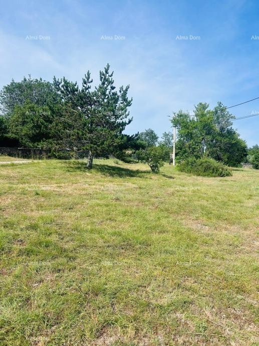 Буе – Самостоятельный дом с оливковым садом и строительным участком 12