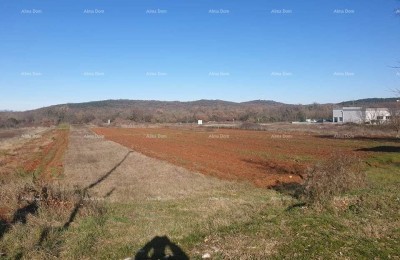 ROVINJSKO SELO - Terreno edificabile di 5000 m2