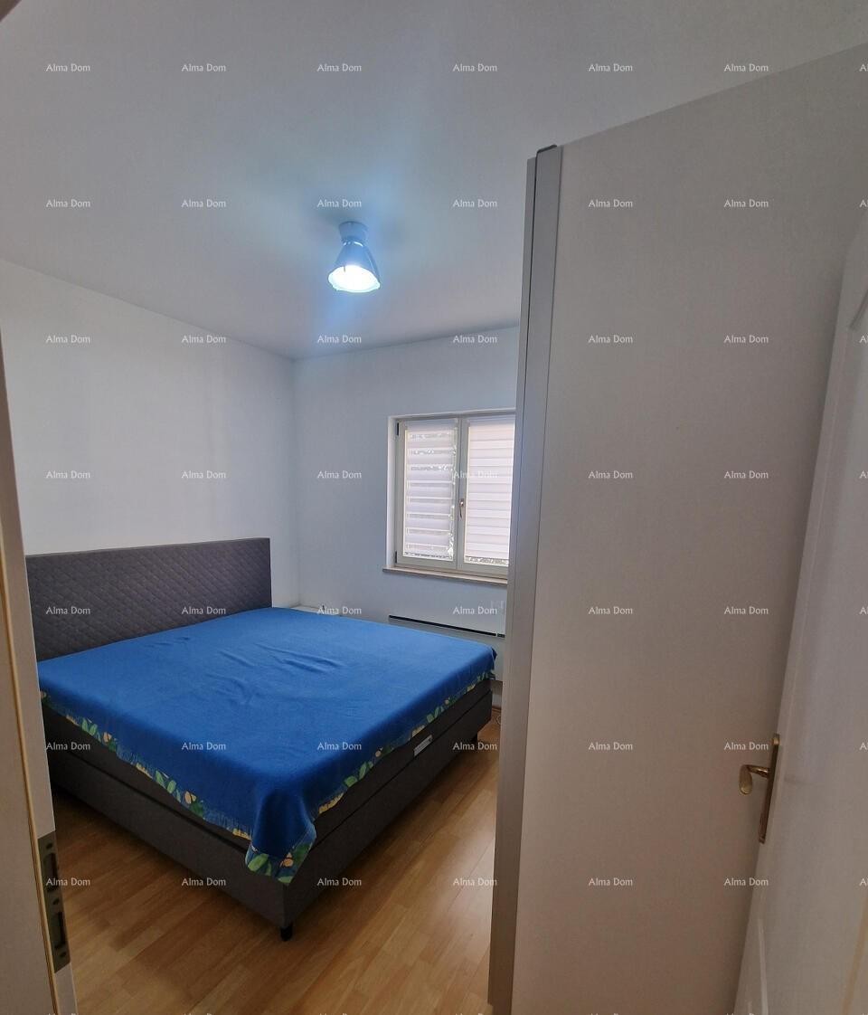 Appartamento Novigrad 3