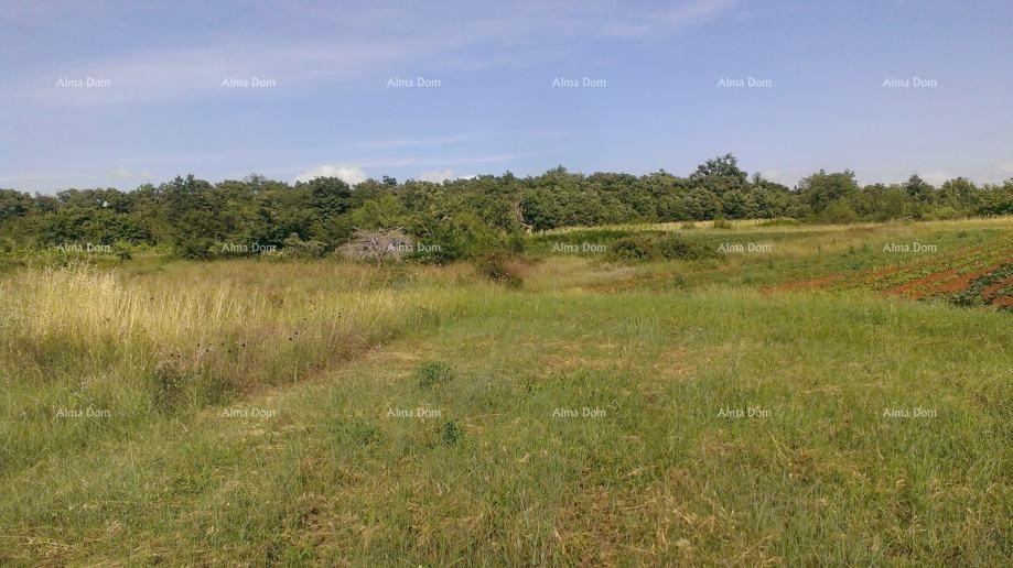 Terreno edificabile 2.539 m² – Smoljanci, Svetvinčenat 1