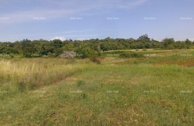 Terreno edificabile 2.539 m² – Smoljanci, Svetvinčenat