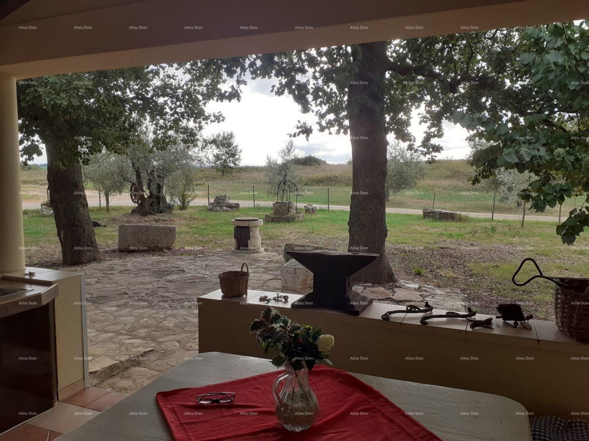 NOVIGRAD - Prodaja dveh stanovanj v družinski hiši 20