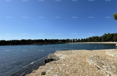 Квартира Novigrad