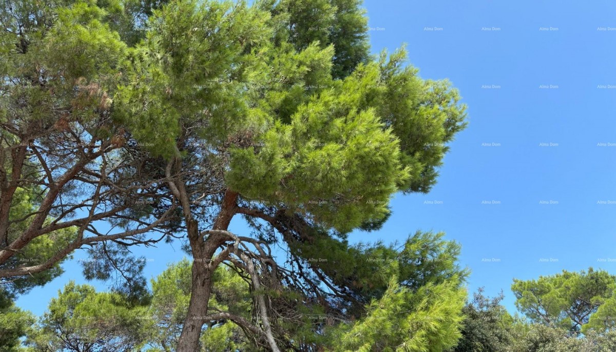 ROVIGNO - appartamento in vendita in un residence di lusso sul mare / S11 30