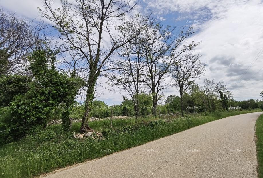 Excellent building land for investment. 6