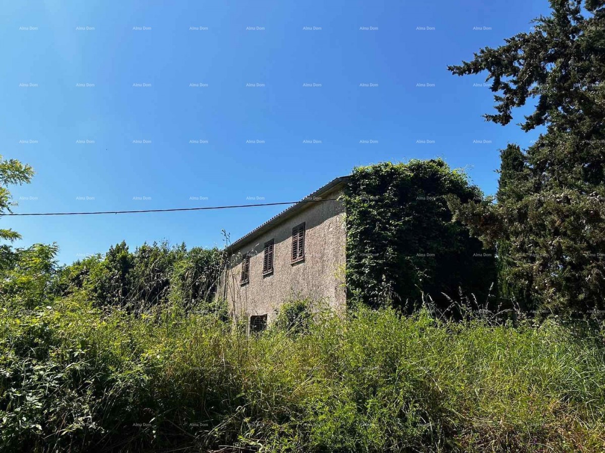 Prodaja hiše s skednjem in zemljiščem v bližini Barbana! 4